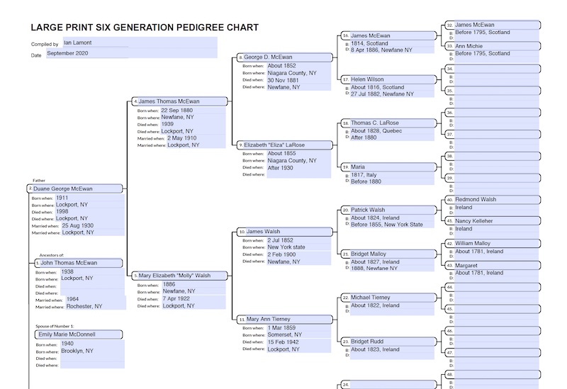 Fillable genealogy PDF sample
