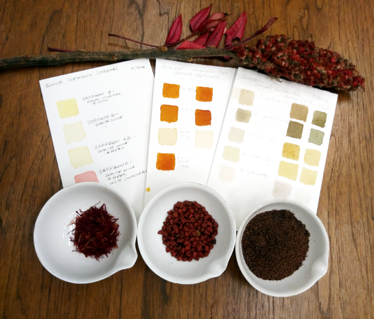 From left to right: saffron threads, annatto seeds, sumac powder, and some experimental colorant patches made from them following 16th-18th C. treatises.