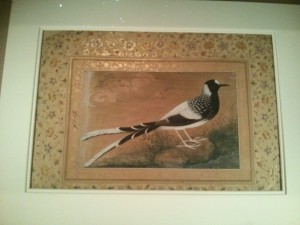 Spotted Forktail, Mughal Period 1610-16, India.